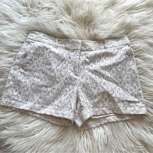 AnnTaylor Loft Crochet Shorts Sz 6